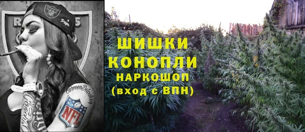 стафф Аркадак