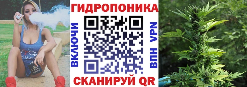 Каннабис гибрид Волгореченск